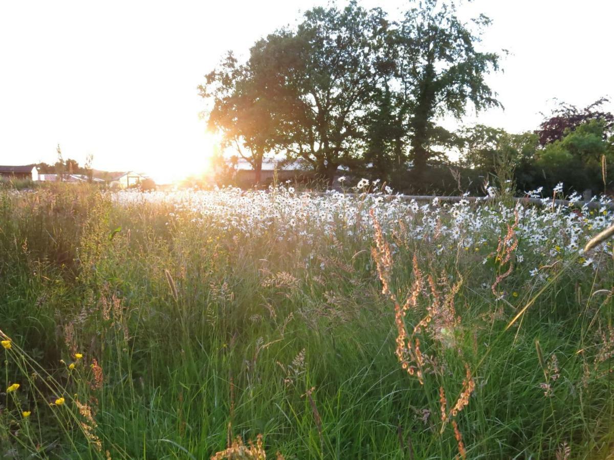 Hidden Cottages Two Lovely 1 Bed Cottages In Peaceful Surroundings, 1 With Log Burner Henley-in-Arden Eksteriør bilde